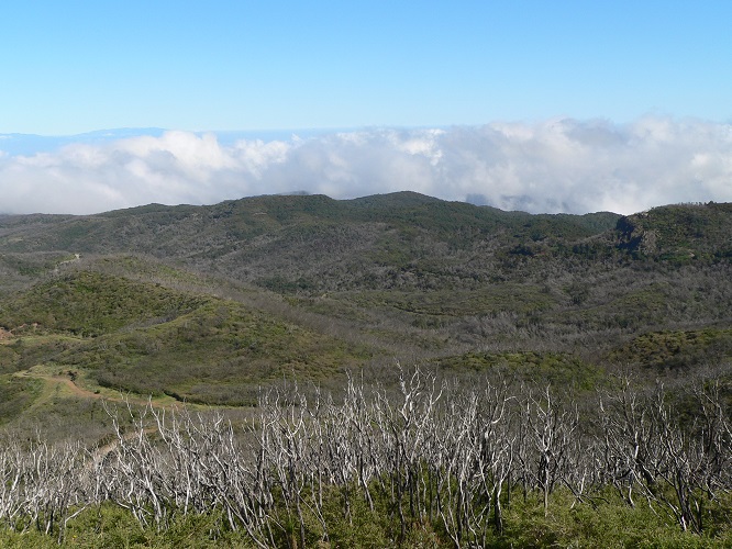 Gomera
