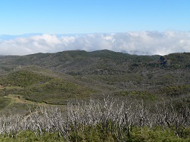 Gomera