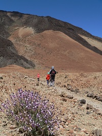Tenerife