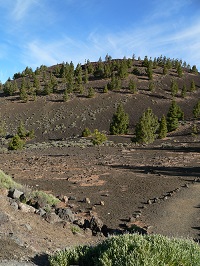 Tenerife