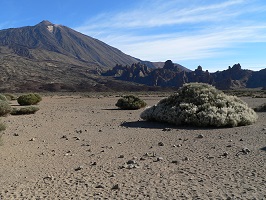 Tenerife