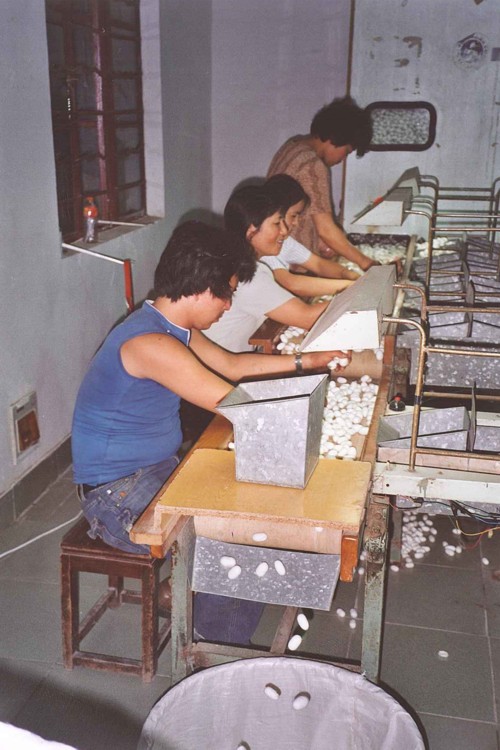 Fabrique de soie