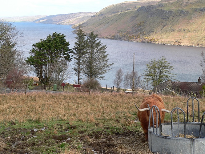 ecosse