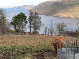 ecosse