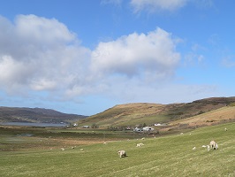 ecosse