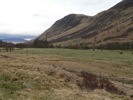 ecosse