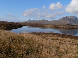 ecosse
