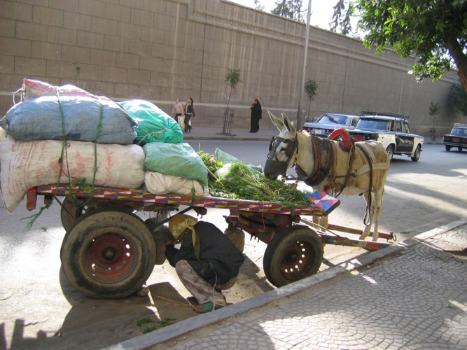 Le Caire
