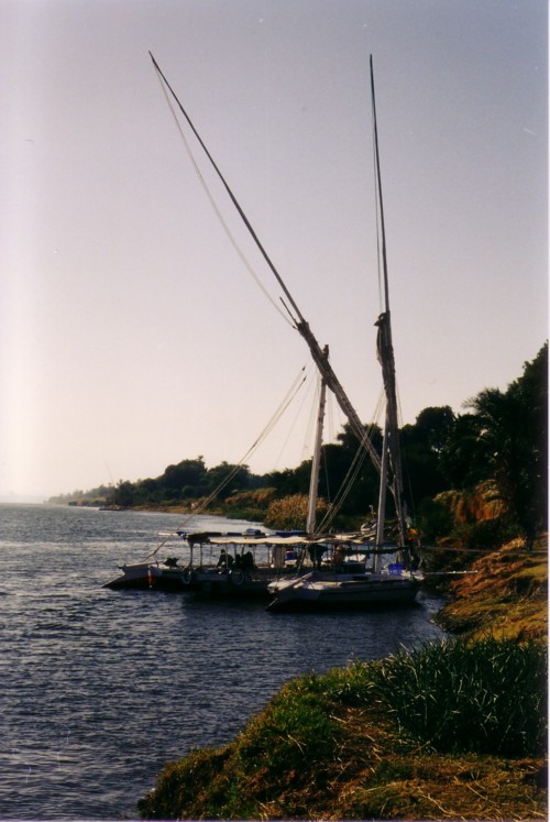 A bord de la felouque