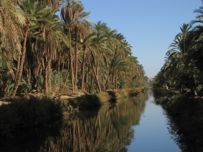 Canaux d'irrigation dans la campagne gyptienne