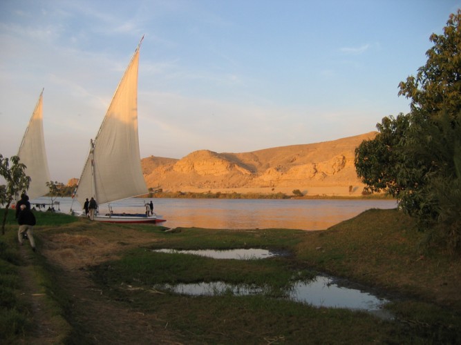 A bord de la felouque