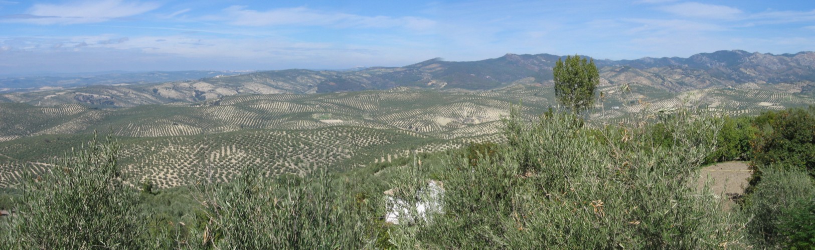 La sierra de Cazorla