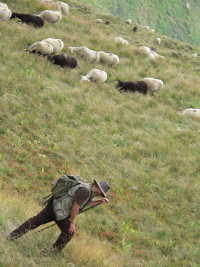 Au sommet du Puy de Sancy