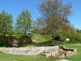 Fontaine du Chne  Orches