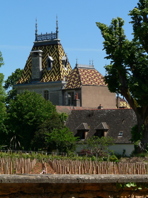 Aloxe-Corton