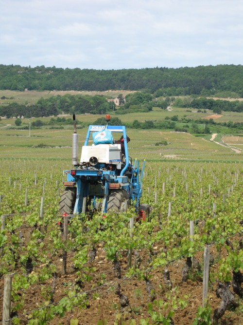 Vlo sur la voie verte