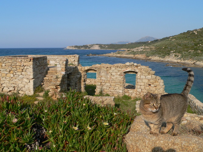 Pointe de la Revellata