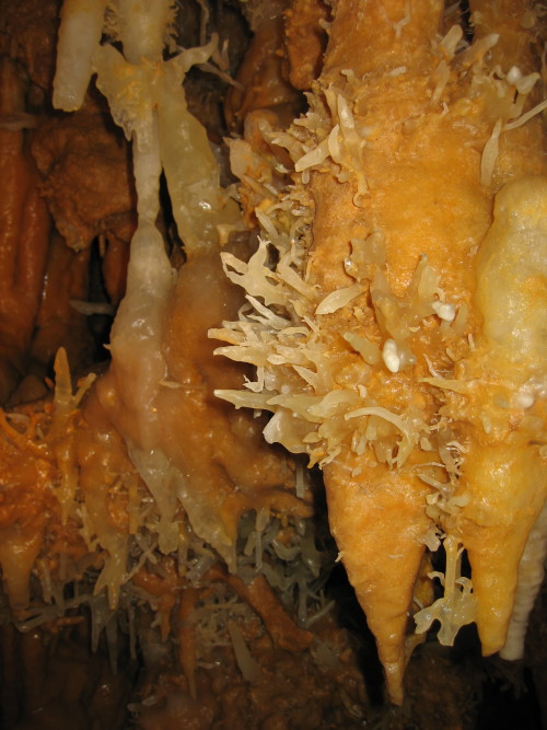 La grotte du Grand Roc  Eyzies