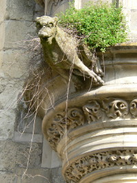Chteau d'Amboise