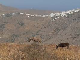 amorgos