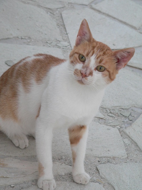 milos