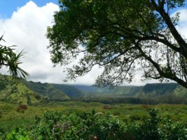 Keanae valley