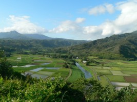Hanalei valley