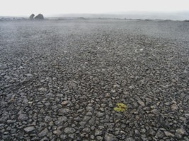 Dsert du Sprengisandur