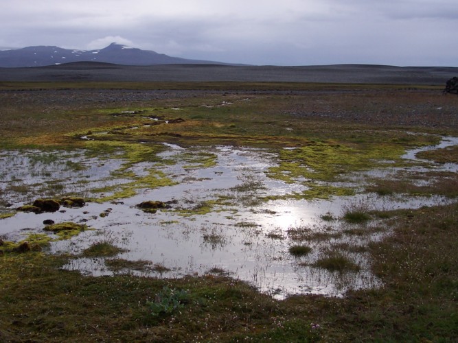 Gaesavotn