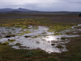 Gaesavotn