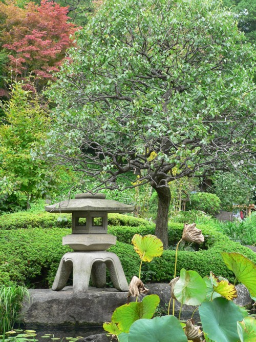 Kamakura