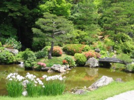 Kyoto - Ninna-ji