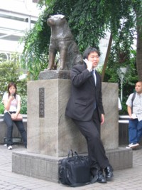 Statue de Hachiko, chien fidle