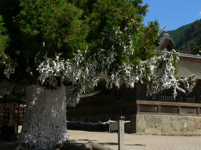 Horoscopes d'un temple shinto