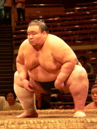 Sumo