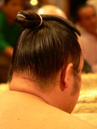 Sumo