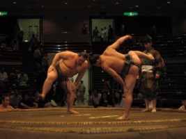 Combat de sumo