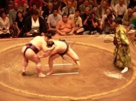 Combat de sumo