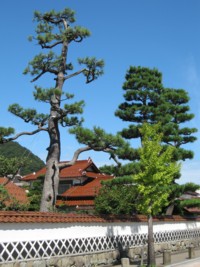Tsuwano - Quartier samoura de Tonomachi