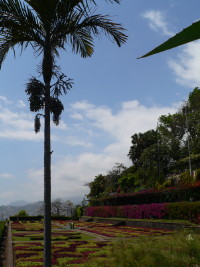 Jardin Botanique  Funchal