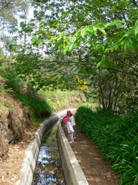 Levada Nova