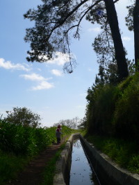 Levada Nova