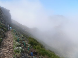 Pico Ruivo