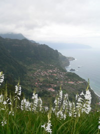 Cte nord