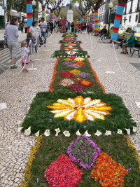 Fte des Fleurs  Funchal