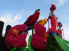 Fte des Fleurs  Funchal