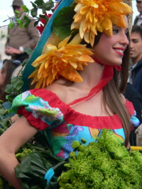 Fte des Fleurs  Funchal