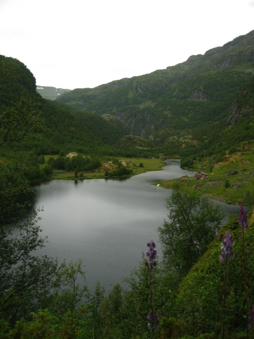Aurlandsvegen