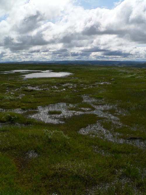 Hardangervidda
