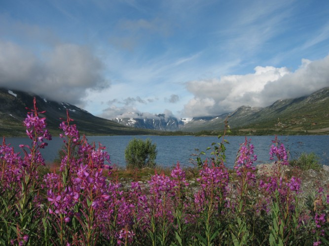 Entre Lom et Geiranger